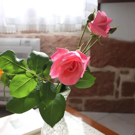 Is Janas E5391 Bed & Breakfast