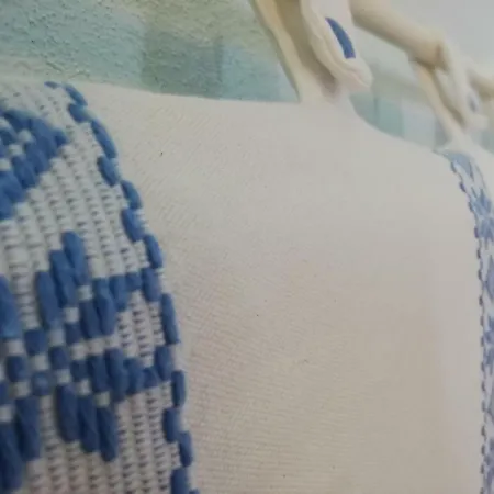 Is Janas E5391 פורדוניאנוס