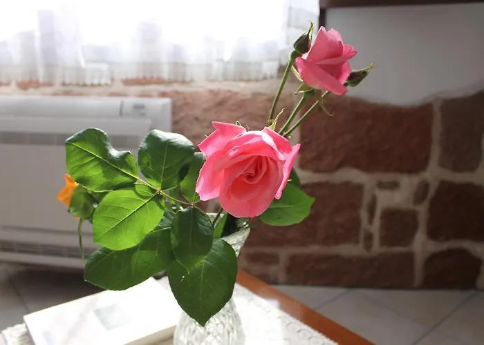 Is Janas E5391 Nocleg ze śniadaniem