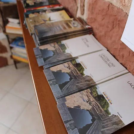 Is Janas E5391 福尔东贾努斯